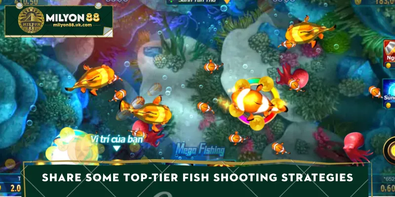 Share some top-tier fish shooting strategies