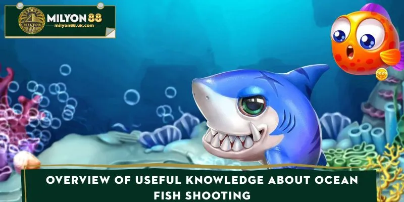 Overview of useful knowledge about ocean fishing