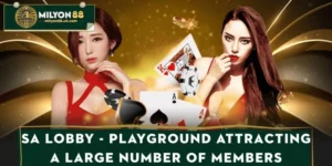 SA Lobby - Playground Attracting a Large Number of Members